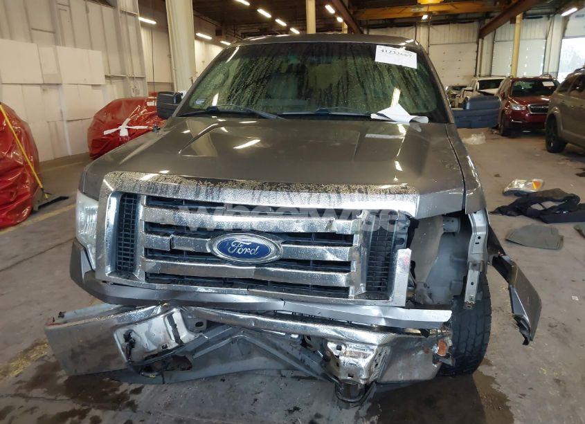 Photo 13 of 2010 Ford F-150 FX4/HARLEY-DAVIDSON/KING RANCH/LARIAT/PLATINUM/XL/XLT (VIN 1FTFW1EV7AFD05626)