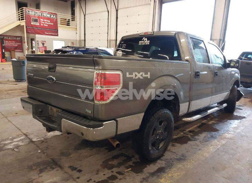 Photo 4 of 2010 Ford F-150 FX4/HARLEY-DAVIDSON/KING RANCH/LARIAT/PLATINUM/XL/XLT (VIN 1FTFW1EV7AFD05626)