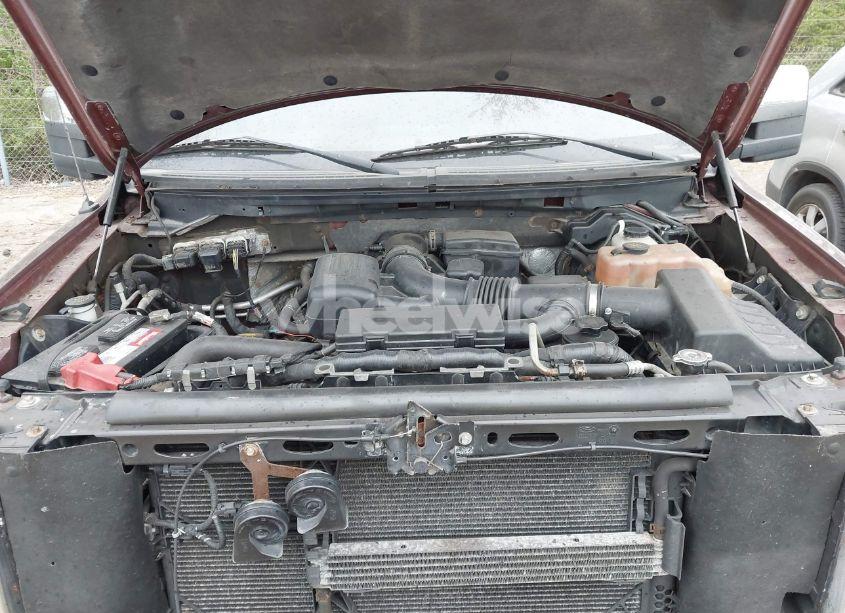 Photo 10 of 2010 Ford F-150 FX4/HARLEY-DAVIDSON/KING RANCH/LARIAT/PLATINUM/XL/XLT (VIN 1FTFW1EV7AKE24686)