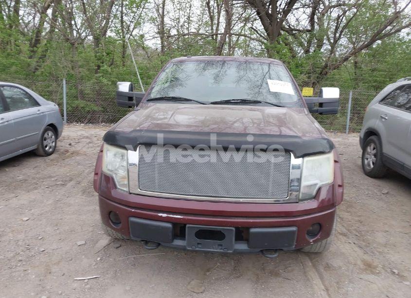 Photo 12 of 2010 Ford F-150 FX4/HARLEY-DAVIDSON/KING RANCH/LARIAT/PLATINUM/XL/XLT (VIN 1FTFW1EV7AKE24686)