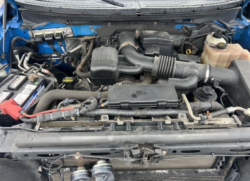 Photo 9 of 2010 Ford F-150 FX4/HARLEY-DAVIDSON/KING RANCH/LARIAT/PLATINUM/XL/XLT (VIN 1FTFW1EV8AFA45527)