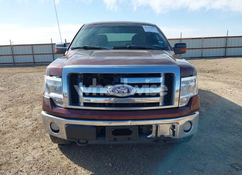 Photo 12 of 2010 Ford F-150 FX4/HARLEY-DAVIDSON/KING RANCH/LARIAT/PLATINUM/XL/XLT (VIN 1FTFW1EV8AFA97966)