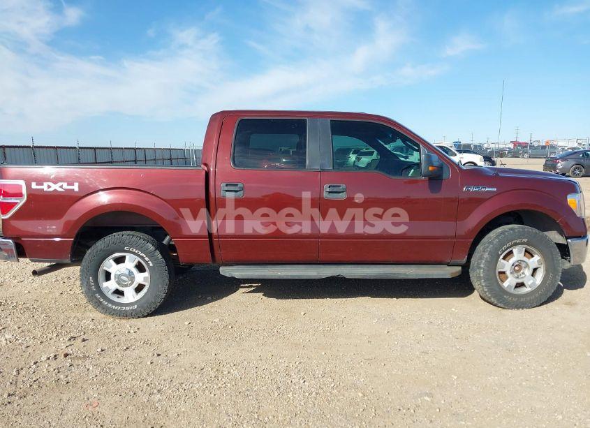 Photo 13 of 2010 Ford F-150 FX4/HARLEY-DAVIDSON/KING RANCH/LARIAT/PLATINUM/XL/XLT (VIN 1FTFW1EV8AFA97966)