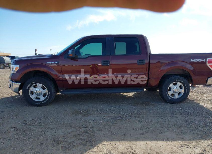 Photo 14 of 2010 Ford F-150 FX4/HARLEY-DAVIDSON/KING RANCH/LARIAT/PLATINUM/XL/XLT (VIN 1FTFW1EV8AFA97966)