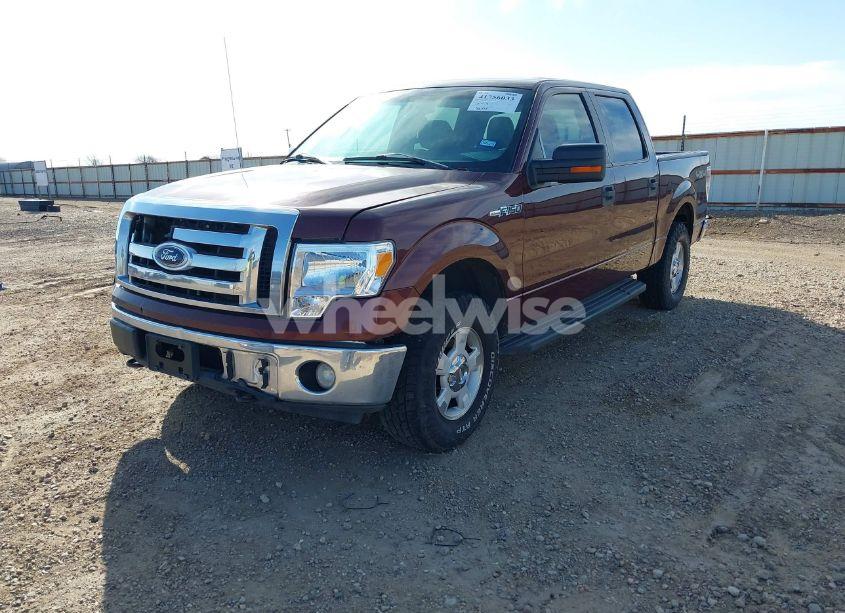 Photo 2 of 2010 Ford F-150 FX4/HARLEY-DAVIDSON/KING RANCH/LARIAT/PLATINUM/XL/XLT (VIN 1FTFW1EV8AFA97966)