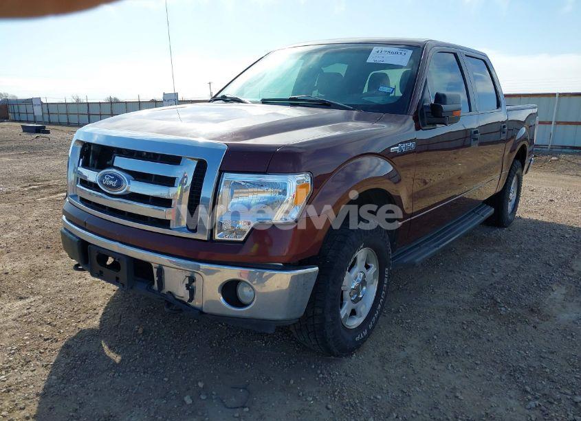 Photo 6 of 2010 Ford F-150 FX4/HARLEY-DAVIDSON/KING RANCH/LARIAT/PLATINUM/XL/XLT (VIN 1FTFW1EV8AFA97966)