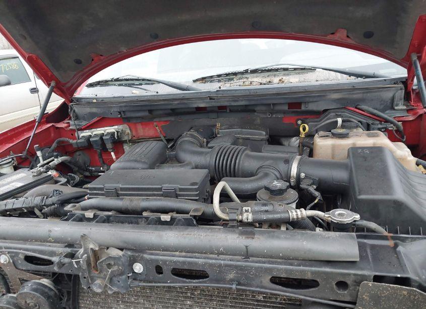 Photo 10 of 2010 Ford F-150 FX4 (VIN 1FTFW1EV8AFB98425)