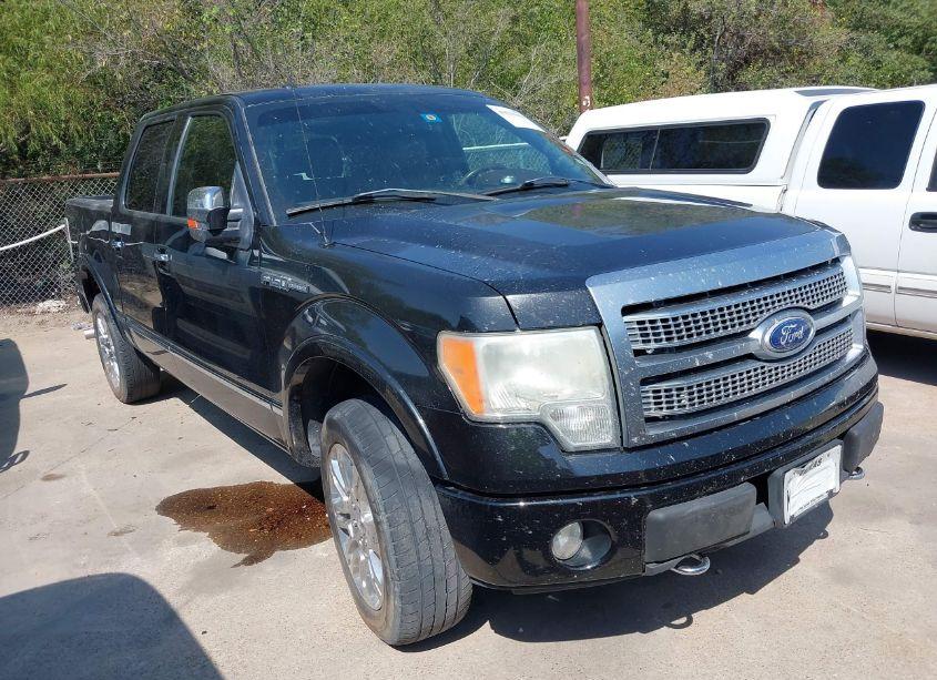 2010 Ford F-150 FX4/HARLEY-DAVIDSON/KING RANCH/LARIAT/PLATINUM/XL/XLT (VIN 1FTFW1EV8AFC16129) main photo