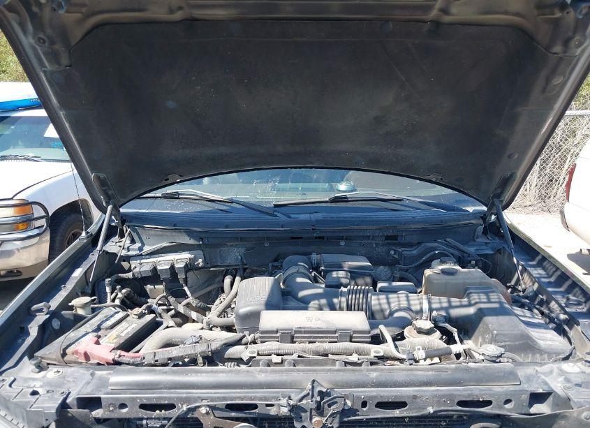 Photo 10 of 2010 Ford F-150 FX4/HARLEY-DAVIDSON/KING RANCH/LARIAT/PLATINUM/XL/XLT (VIN 1FTFW1EV8AFC16129)