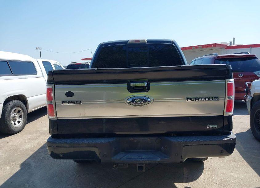 Photo 16 of 2010 Ford F-150 FX4/HARLEY-DAVIDSON/KING RANCH/LARIAT/PLATINUM/XL/XLT (VIN 1FTFW1EV8AFC16129)