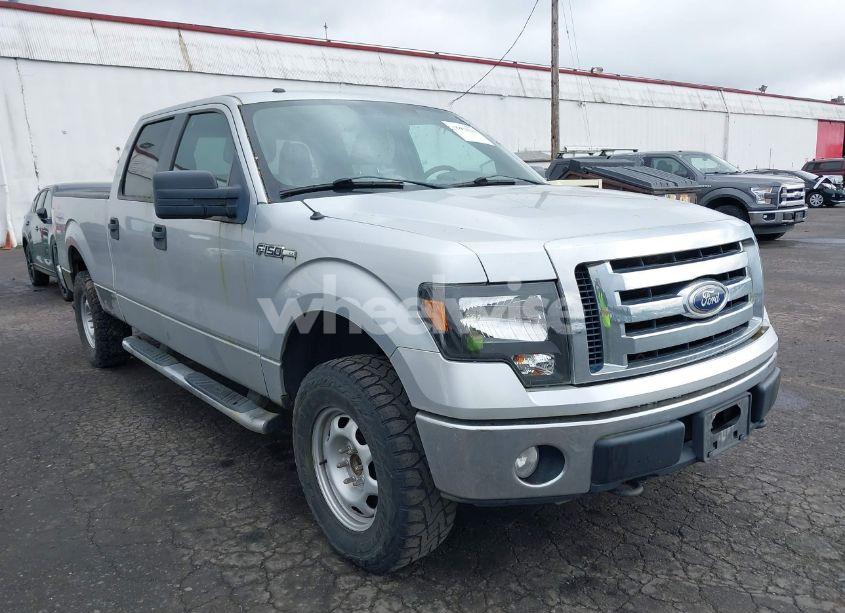 2010 Ford F-150 FX4/HARLEY-DAVIDSON/KING RANCH/LARIAT/PLATINUM/XL/XLT (VIN 1FTFW1EV8AFC53018) main photo