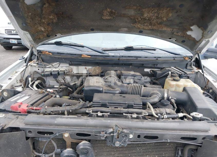 Photo 10 of 2010 Ford F-150 FX4/HARLEY-DAVIDSON/KING RANCH/LARIAT/PLATINUM/XL/XLT (VIN 1FTFW1EV8AFC53018)