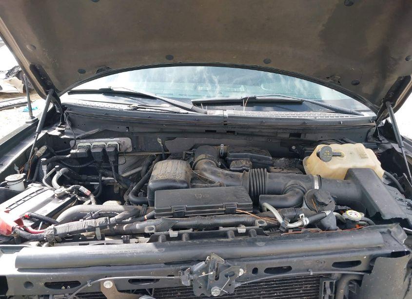 Photo 10 of 2010 Ford F-150 FX4/HARLEY-DAVIDSON/KING RANCH/LARIAT/PLATINUM/XL/XLT (VIN 1FTFW1EV8AFC87945)