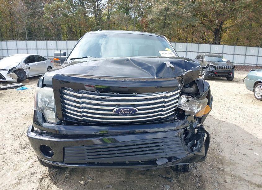 Photo 12 of 2010 Ford F-150 FX4/HARLEY-DAVIDSON/KING RANCH/LARIAT/PLATINUM/XL/XLT (VIN 1FTFW1EV8AFC87945)