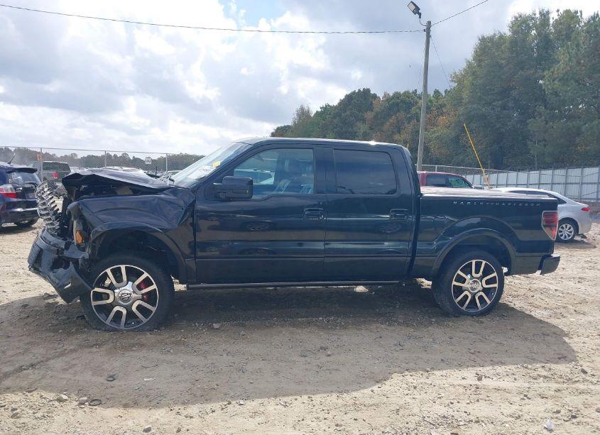 Photo 14 of 2010 Ford F-150 FX4/HARLEY-DAVIDSON/KING RANCH/LARIAT/PLATINUM/XL/XLT (VIN 1FTFW1EV8AFC87945)