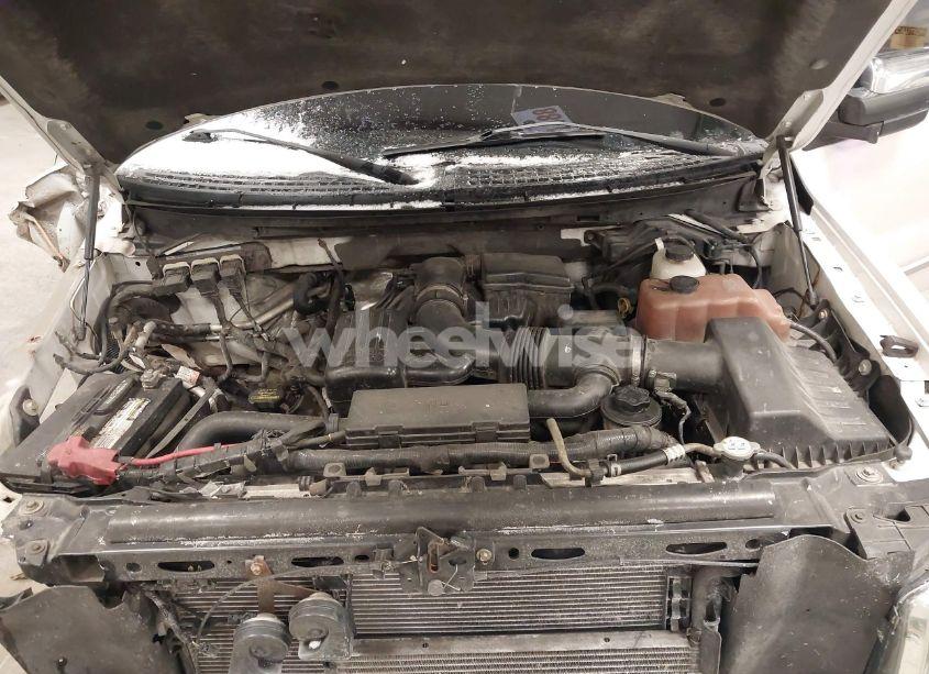 Photo 10 of 2010 Ford F-150 FX4/HARLEY-DAVIDSON/KING RANCH/LARIAT/PLATINUM/XL/XLT (VIN 1FTFW1EV8AFD10110)