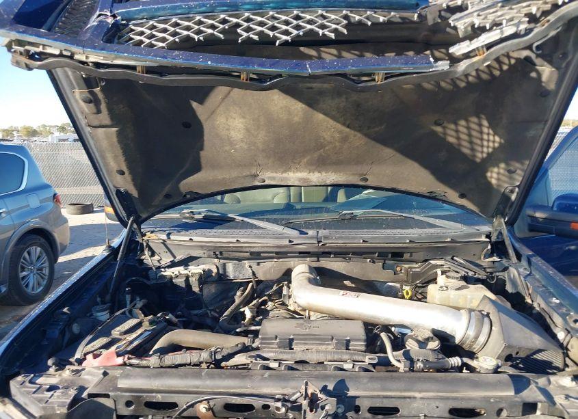 Photo 10 of 2010 Ford F-150 FX4/HARLEY-DAVIDSON/KING RANCH/LARIAT/PLATINUM/XL/XLT (VIN 1FTFW1EV8AFD37825)