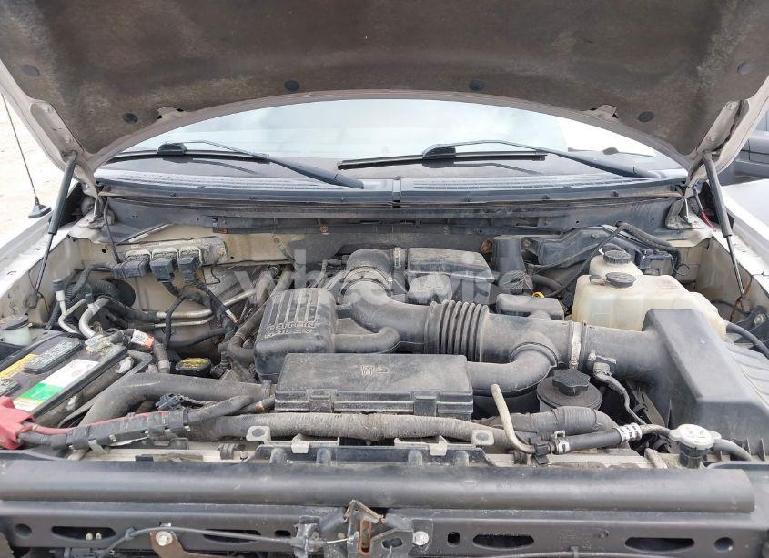 Photo 10 of 2010 Ford F-150 FX4 (VIN 1FTFW1EV8AFD95966)