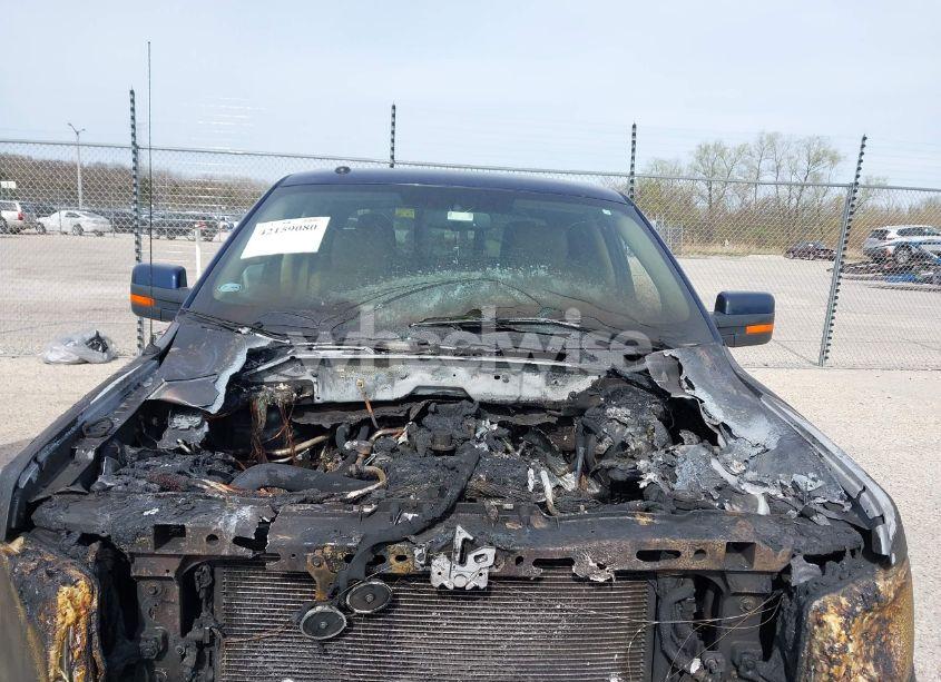 Photo 10 of 2010 Ford F-150 FX4/HARLEY-DAVIDSON/KING RANCH/LARIAT/PLATINUM/XL/XLT (VIN 1FTFW1EV8AKA14527)