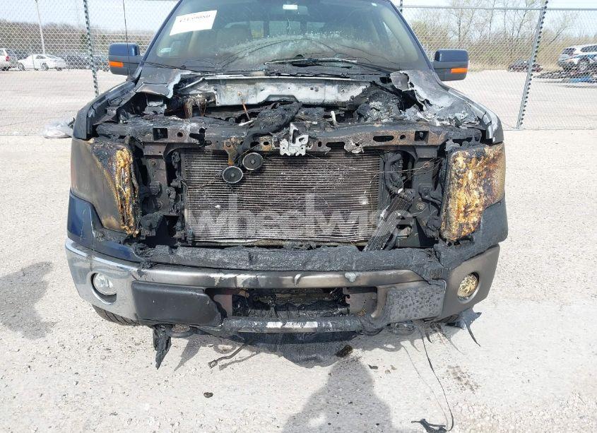 Photo 12 of 2010 Ford F-150 FX4/HARLEY-DAVIDSON/KING RANCH/LARIAT/PLATINUM/XL/XLT (VIN 1FTFW1EV8AKA14527)