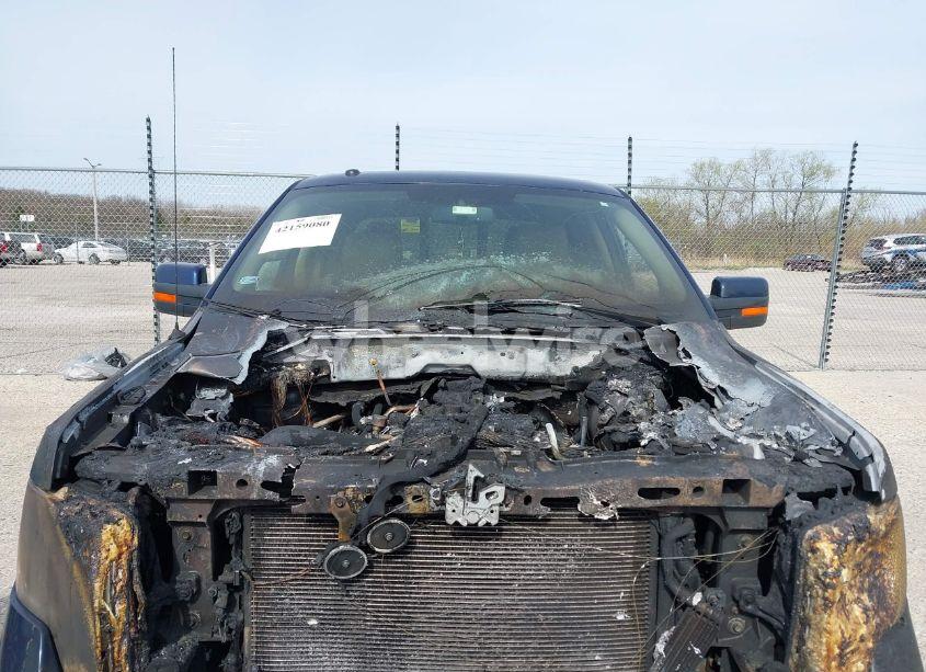 Photo 6 of 2010 Ford F-150 FX4/HARLEY-DAVIDSON/KING RANCH/LARIAT/PLATINUM/XL/XLT (VIN 1FTFW1EV8AKA14527)