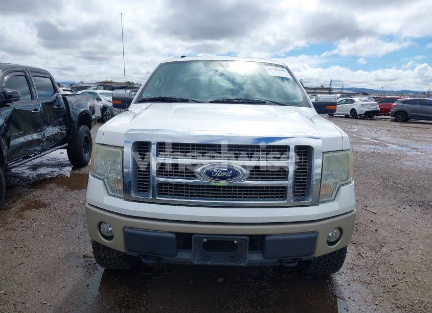 Photo 12 of 2010 Ford F-150 FX4/HARLEY-DAVIDSON/KING RANCH/LARIAT/PLATINUM/XL/XLT (VIN 1FTFW1EV8AKB05720)