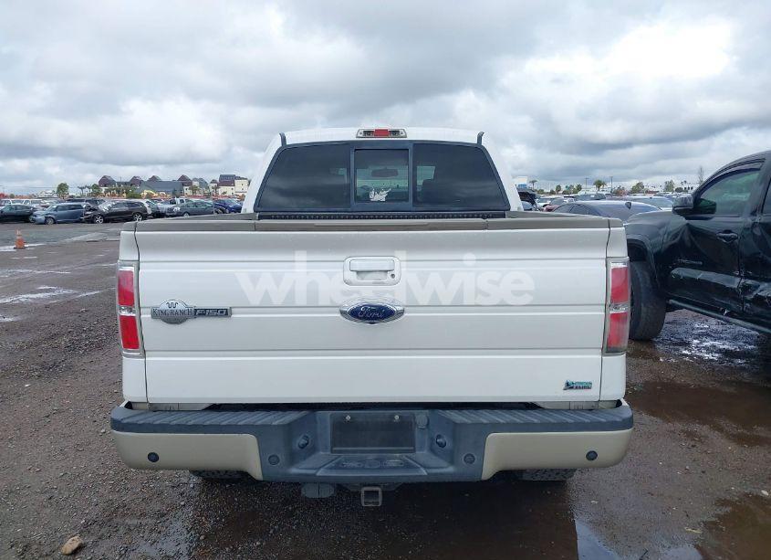 Photo 16 of 2010 Ford F-150 FX4/HARLEY-DAVIDSON/KING RANCH/LARIAT/PLATINUM/XL/XLT (VIN 1FTFW1EV8AKB05720)