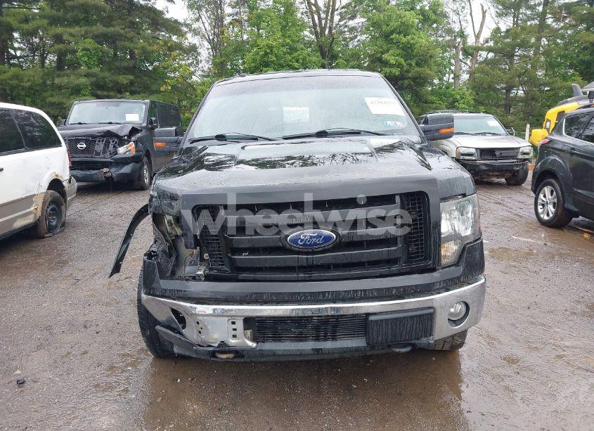 Photo 13 of 2010 Ford F-150 FX4/HARLEY-DAVIDSON/KING RANCH/LARIAT/PLATINUM/XL/XLT (VIN 1FTFW1EV8AKB22565)