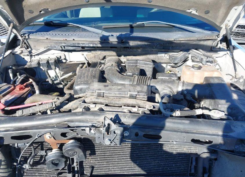 Photo 10 of 2010 Ford F-150 FX4/HARLEY-DAVIDSON/KING RANCH/LARIAT/PLATINUM/XL/XLT (VIN 1FTFW1EV8AKE24065)