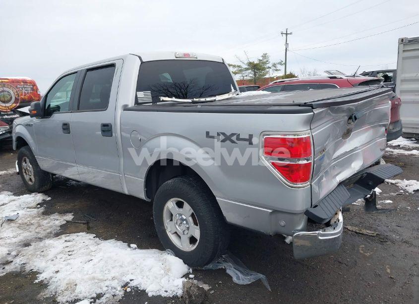 Photo 3 of 2010 Ford F-150 FX4/HARLEY-DAVIDSON/KING RANCH/LARIAT/PLATINUM/XL/XLT (VIN 1FTFW1EV8AKE24065)