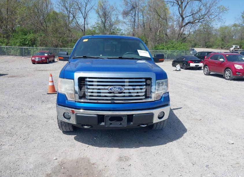 Photo 13 of 2010 Ford F-150 XLT (VIN 1FTFW1EV9AFA18787)