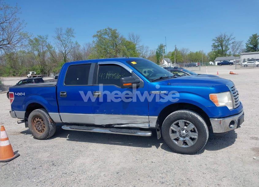 Photo 14 of 2010 Ford F-150 XLT (VIN 1FTFW1EV9AFA18787)