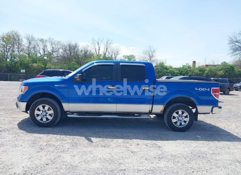 Photo 15 of 2010 Ford F-150 XLT (VIN 1FTFW1EV9AFA18787)