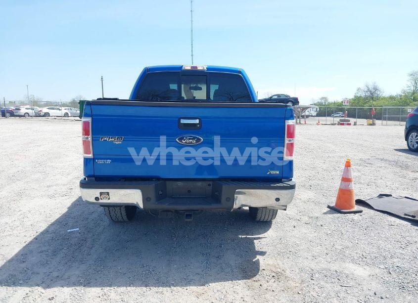 Photo 17 of 2010 Ford F-150 XLT (VIN 1FTFW1EV9AFA18787)