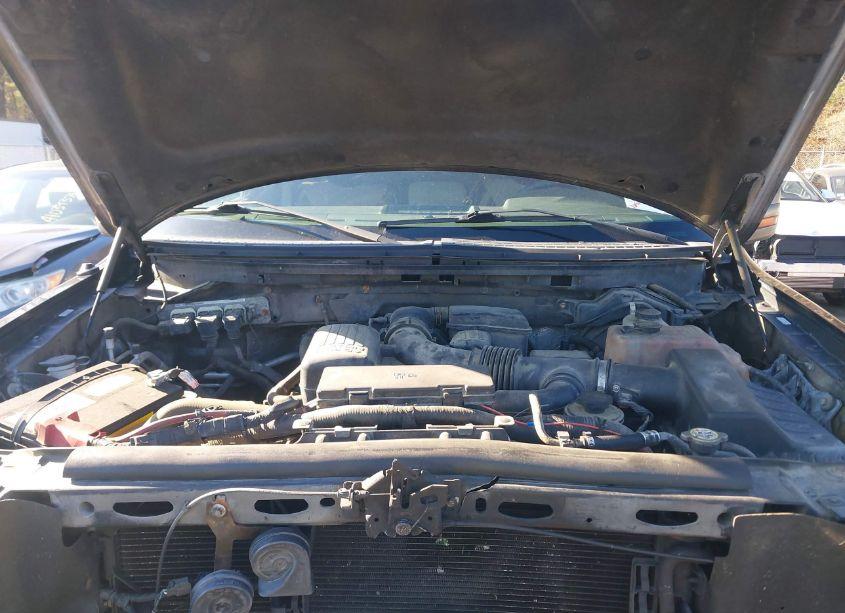 Photo 10 of 2010 Ford F-150 FX4/HARLEY-DAVIDSON/KING RANCH/LARIAT/PLATINUM/XL/XLT (VIN 1FTFW1EV9AFA19566)