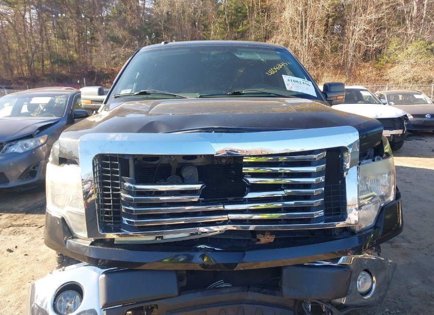 Photo 12 of 2010 Ford F-150 FX4/HARLEY-DAVIDSON/KING RANCH/LARIAT/PLATINUM/XL/XLT (VIN 1FTFW1EV9AFA19566)