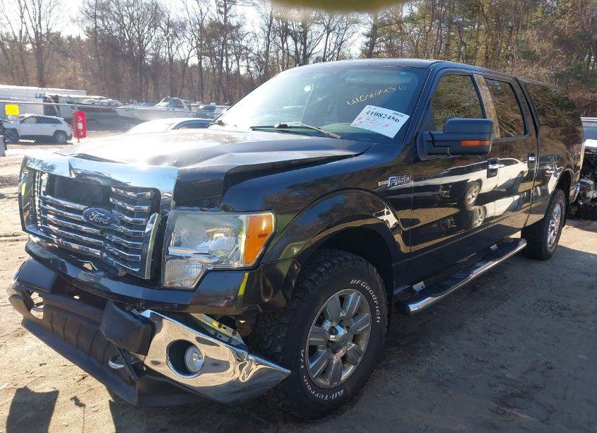 Photo 2 of 2010 Ford F-150 FX4/HARLEY-DAVIDSON/KING RANCH/LARIAT/PLATINUM/XL/XLT (VIN 1FTFW1EV9AFA19566)