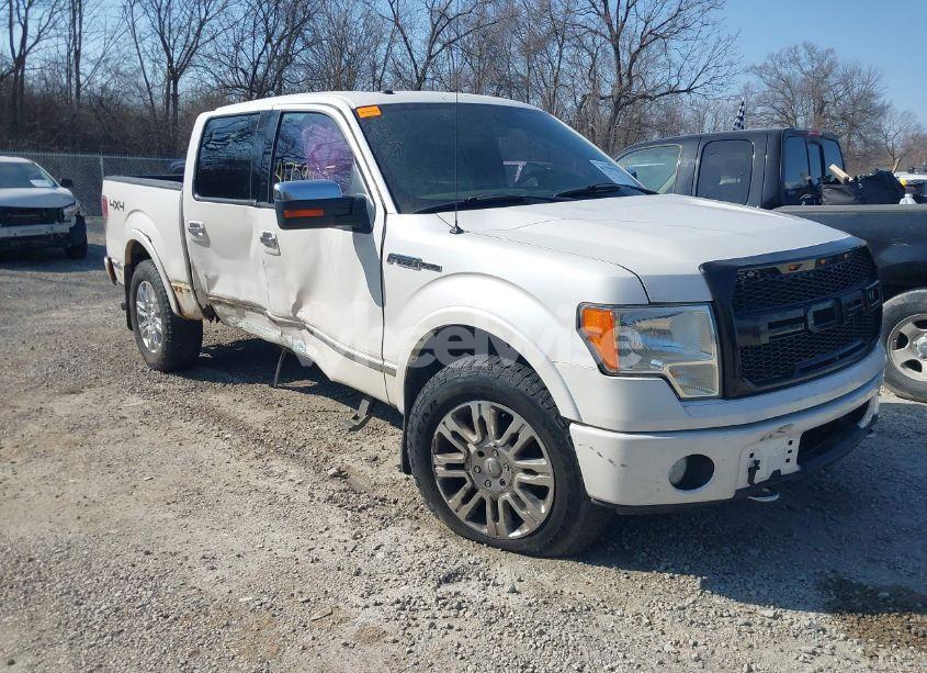2010 Ford F-150 FX4/HARLEY-DAVIDSON/KING RANCH/LARIAT/PLATINUM/XL/XLT (VIN 1FTFW1EV9AFA34309) main photo
