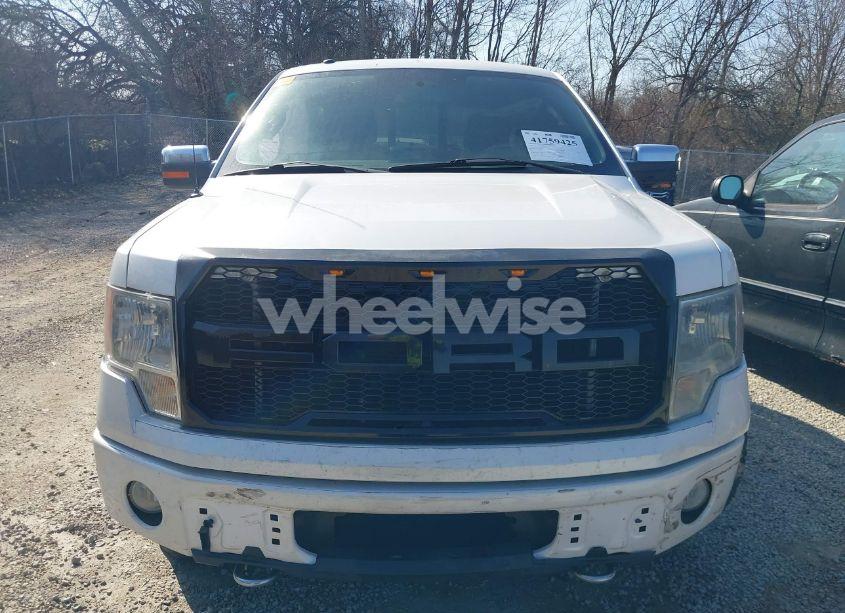 Photo 12 of 2010 Ford F-150 FX4/HARLEY-DAVIDSON/KING RANCH/LARIAT/PLATINUM/XL/XLT (VIN 1FTFW1EV9AFA34309)