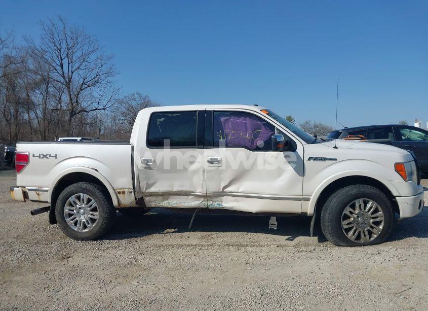 Photo 13 of 2010 Ford F-150 FX4/HARLEY-DAVIDSON/KING RANCH/LARIAT/PLATINUM/XL/XLT (VIN 1FTFW1EV9AFA34309)