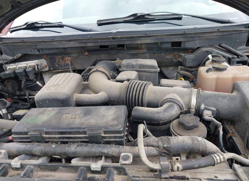 Photo 10 of 2010 Ford F-150 FX4/HARLEY-DAVIDSON/KING RANCH/LARIAT/PLATINUM/XL/XLT (VIN 1FTFW1EV9AFA82036)