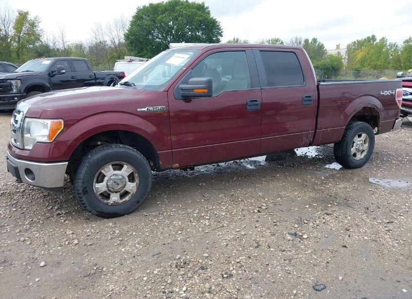 Photo 2 of 2010 Ford F-150 FX4/HARLEY-DAVIDSON/KING RANCH/LARIAT/PLATINUM/XL/XLT (VIN 1FTFW1EV9AFA82036)
