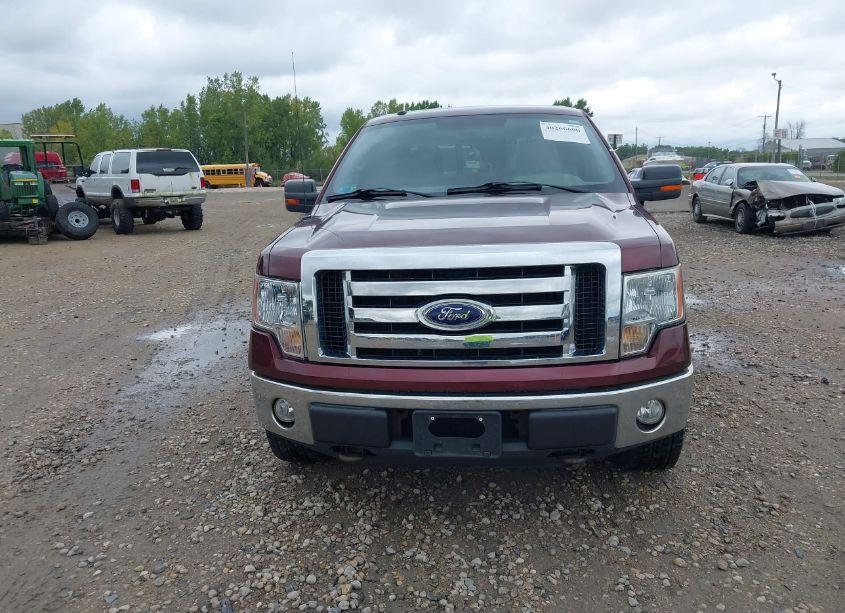 Photo 6 of 2010 Ford F-150 FX4/HARLEY-DAVIDSON/KING RANCH/LARIAT/PLATINUM/XL/XLT (VIN 1FTFW1EV9AFA82036)