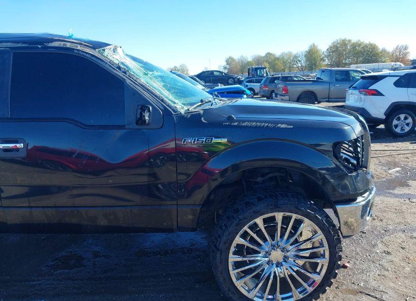 Photo 12 of 2010 Ford F-150 FX4/HARLEY-DAVIDSON/KING RANCH/LARIAT/PLATINUM/XL/XLT (VIN 1FTFW1EV9AFB39044)