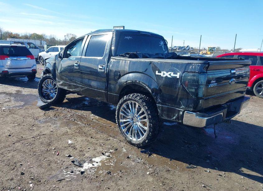 Photo 3 of 2010 Ford F-150 FX4/HARLEY-DAVIDSON/KING RANCH/LARIAT/PLATINUM/XL/XLT (VIN 1FTFW1EV9AFB39044)