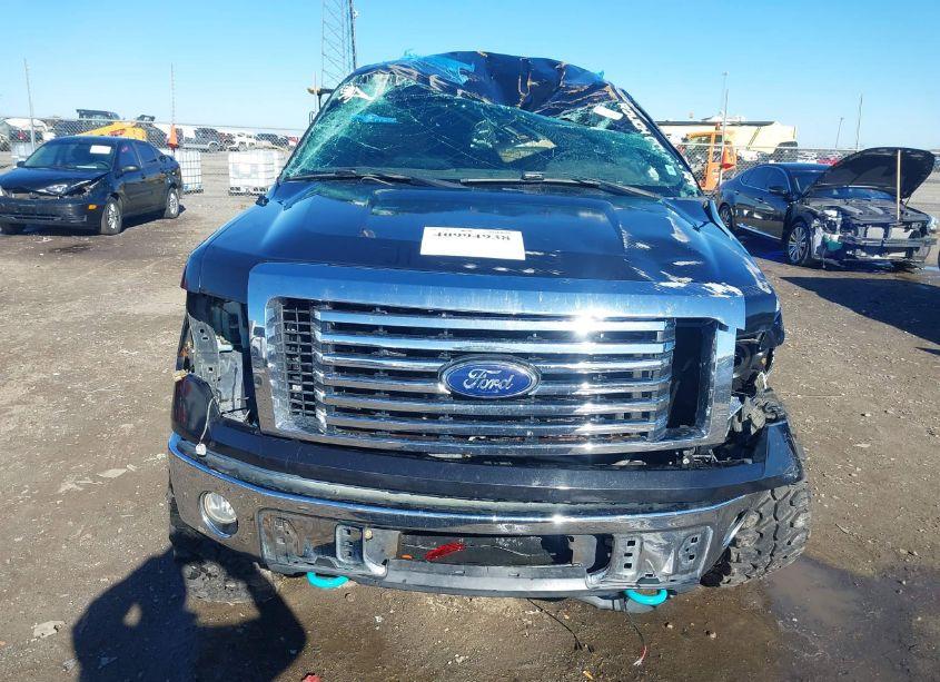 Photo 6 of 2010 Ford F-150 FX4/HARLEY-DAVIDSON/KING RANCH/LARIAT/PLATINUM/XL/XLT (VIN 1FTFW1EV9AFB39044)