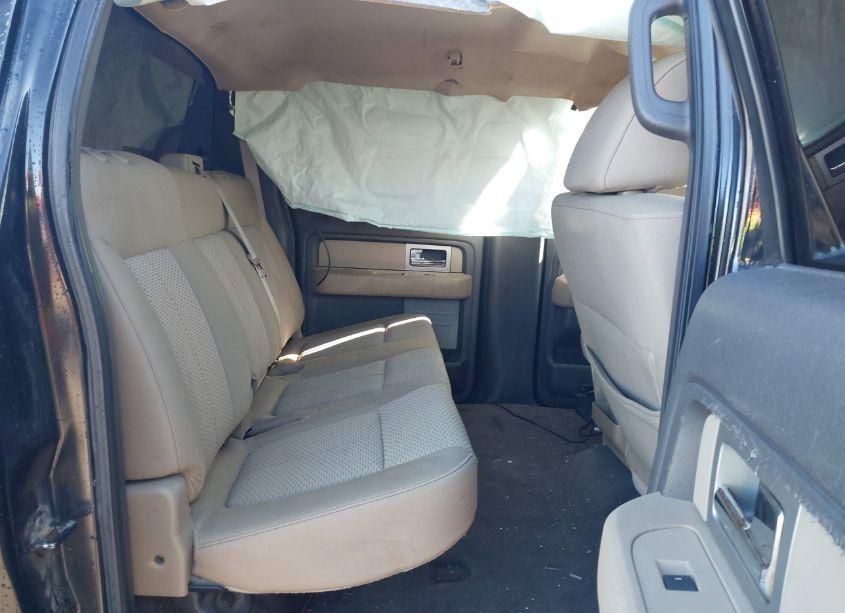 Photo 8 of 2010 Ford F-150 FX4/HARLEY-DAVIDSON/KING RANCH/LARIAT/PLATINUM/XL/XLT (VIN 1FTFW1EV9AFB39044)