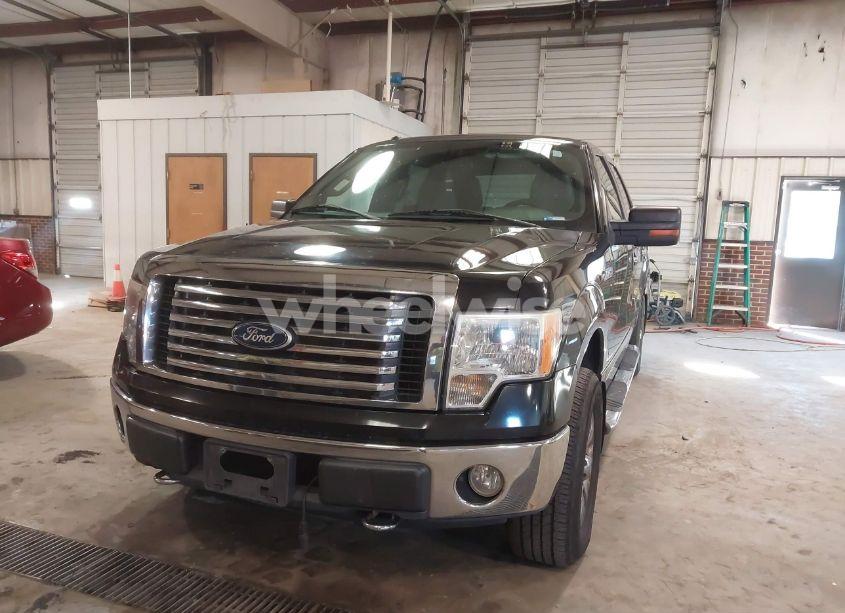 Photo 12 of 2010 Ford F-150 FX4/HARLEY-DAVIDSON/KING RANCH/LARIAT/PLATINUM/XL/XLT (VIN 1FTFW1EV9AFB39853)