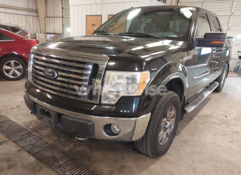 Photo 6 of 2010 Ford F-150 FX4/HARLEY-DAVIDSON/KING RANCH/LARIAT/PLATINUM/XL/XLT (VIN 1FTFW1EV9AFB39853)