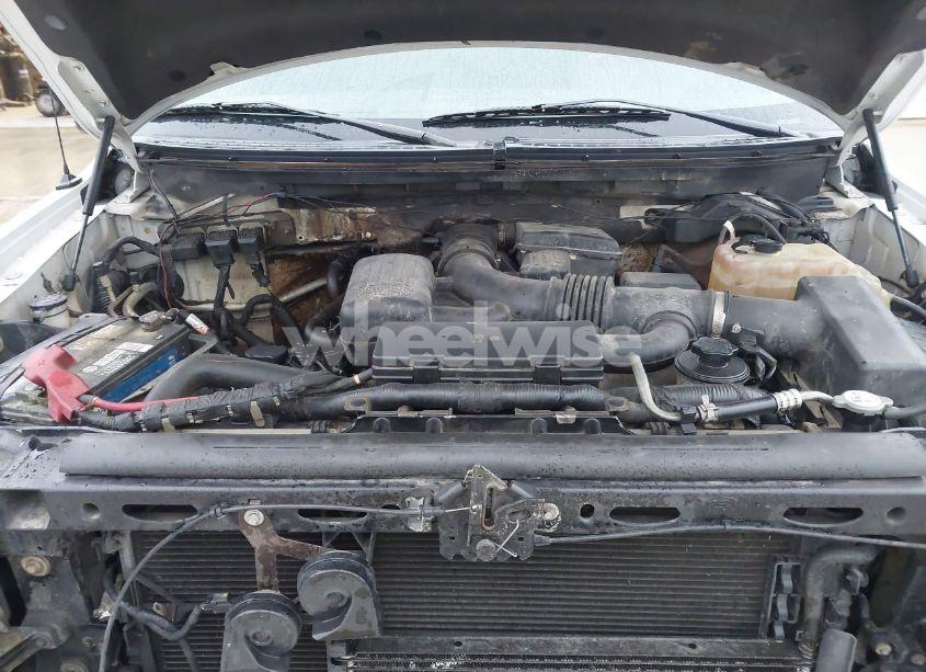 Photo 10 of 2010 Ford F-150 (VIN 1FTFW1EV9AFB49797)